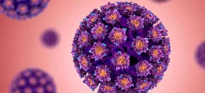 HPV - Human Papillomavirus
